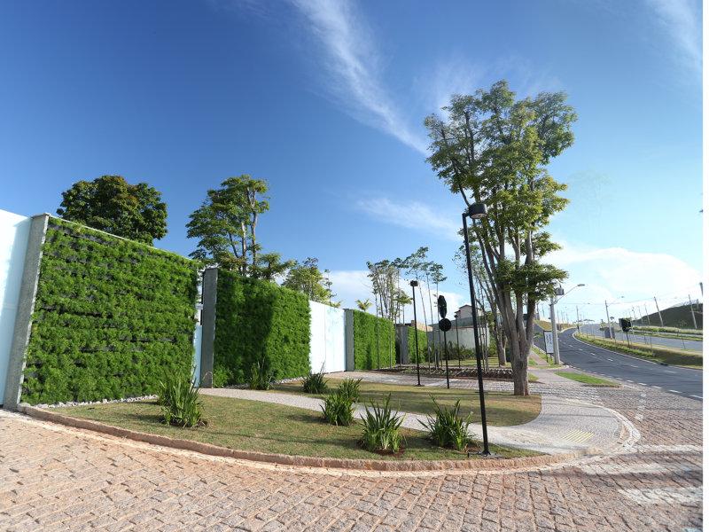 Alexandre Furcolin emprega espécies nativas de valor histórico para compor o paisagismo do residencial de luxo Pedra Alta